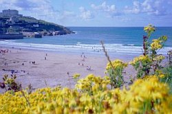Accommodation in Bude